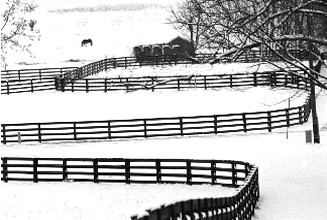 Horse Farm fencing designed and installed by Proulx Fencing, Metamora, Michigan.