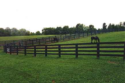 Horse pastures with pressure treated oak lumber fences and driven posts.