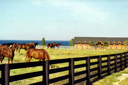 South Fox Island horse farm using high quality wooden fences designed and installed by Proulx Fencing of Metamora, Michigan.