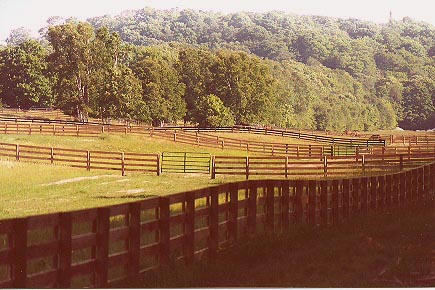 Farm, ranch and livestock fencing installed by Proulx Fencing on South Fox Island, Michigan.